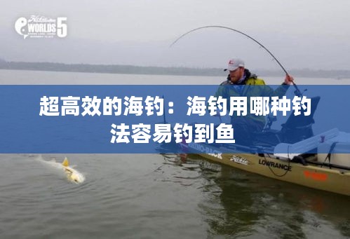 超高效的海钓：海钓用哪种钓法容易钓到鱼 