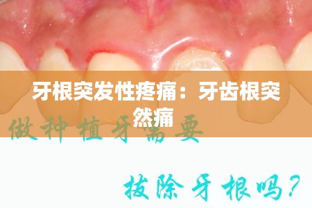 牙根突发性疼痛：牙齿根突然痛 