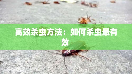 高效杀虫方法：如何杀虫最有效 