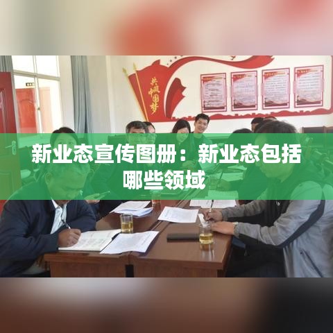 新业态宣传图册：新业态包括哪些领域 