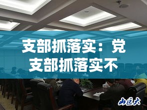 支部抓落实：党支部抓落实不够整改措施 