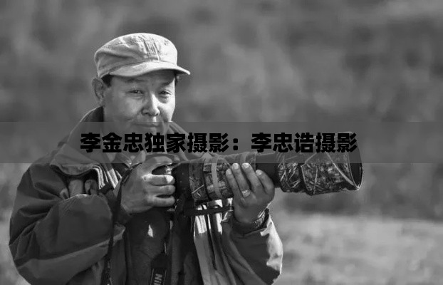 李金忠独家摄影：李忠诰摄影 