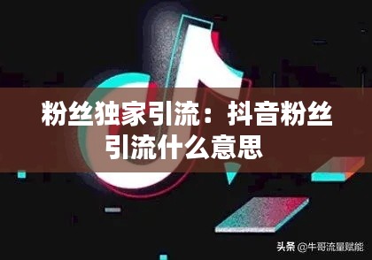 粉丝独家引流：抖音粉丝引流什么意思 