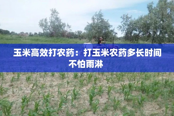 玉米高效打农药：打玉米农药多长时间不怕雨淋 