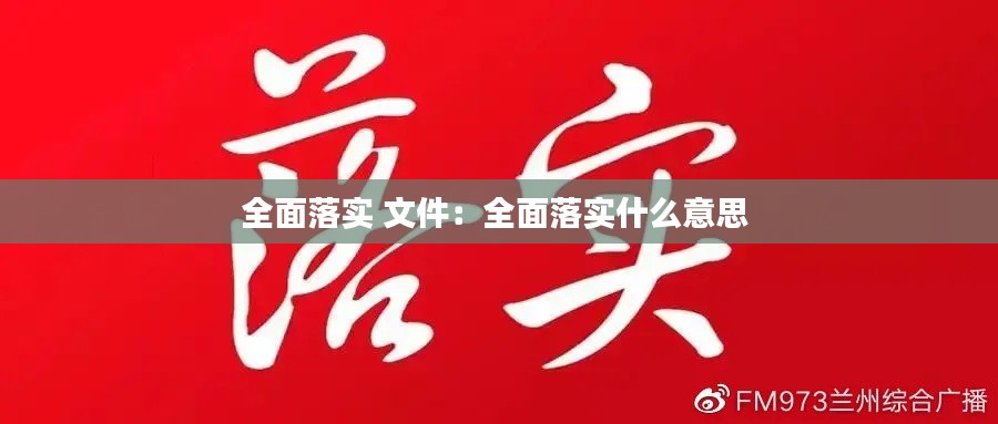 全面落实 文件：全面落实什么意思 