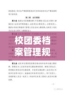 校团委档案管理规范：学校团委办公室规章制度 