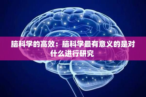 脑科学的高效：脑科学最有意义的是对什么进行研究 