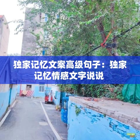 独家记忆文案高级句子：独家记忆情感文字说说 