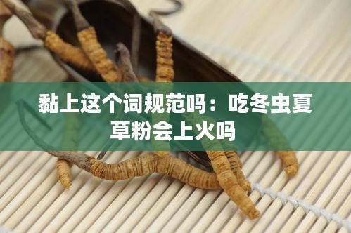 黏上这个词规范吗：吃冬虫夏草粉会上火吗 