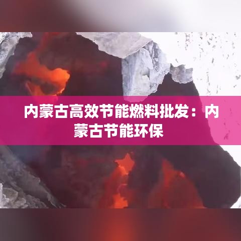 内蒙古高效节能燃料批发：内蒙古节能环保 