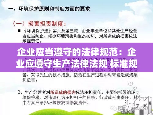 企业应当遵守的法律规范：企业应遵守生产法律法规 标准规范 