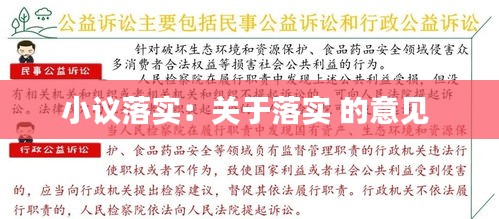 小议落实：关于落实 的意见 