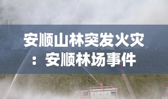 安顺山林突发火灾：安顺林场事件 