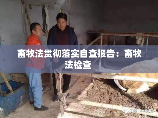 畜牧法贯彻落实自查报告：畜牧法检查 
