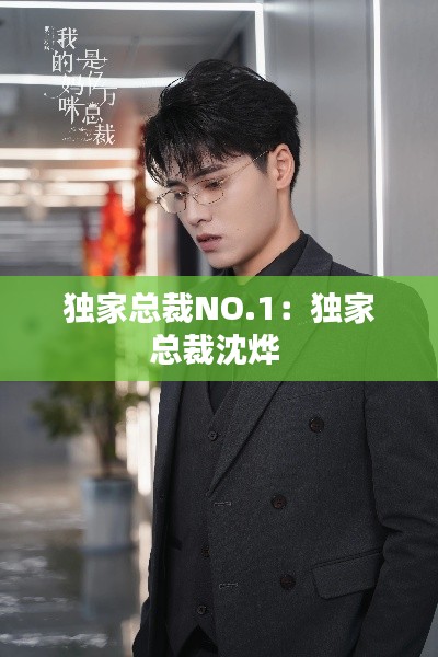 独家总裁NO.1：独家总裁沈烨 