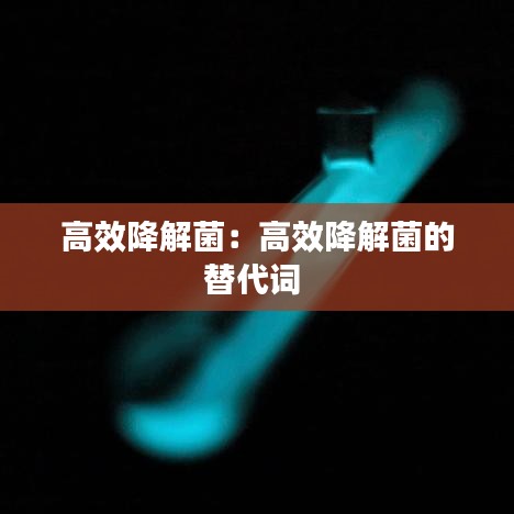 声如洪钟 第2页