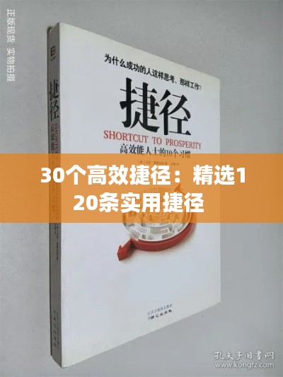 30个高效捷径：精选120条实用捷径 