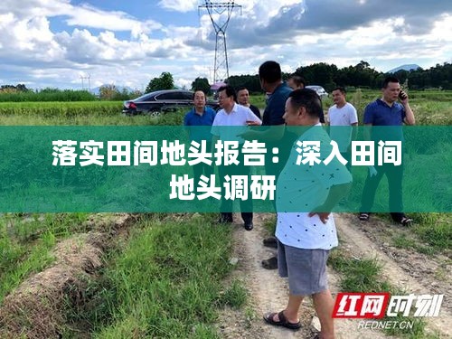 落实田间地头报告：深入田间地头调研 