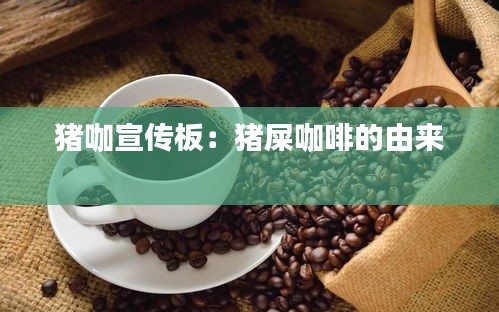 猪咖宣传板：猪屎咖啡的由来 