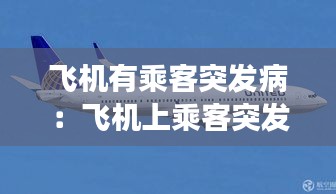 飞机有乘客突发病：飞机上乘客突发疾病会降落吗 