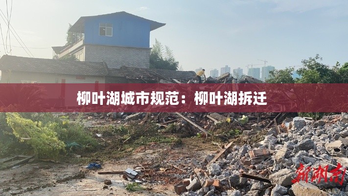 柳叶湖城市规范：柳叶湖拆迁 