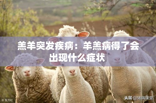 羔羊突发疾病：羊羔病得了会出现什么症状 