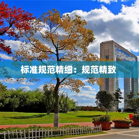 标准规范精细：规范精致 