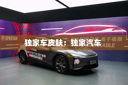 独家车皮肤：独家汽车 