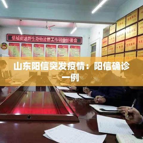 山东阳信突发疫情：阳信确诊一例 