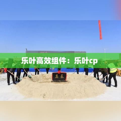 乐叶高效组件：乐叶cp 