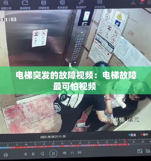 倦鸟知还 第2页