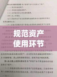规范资产使用环节管理：规范资产管理业务的指导意见 