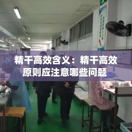 精干高效含义：精干高效原则应注意哪些问题 