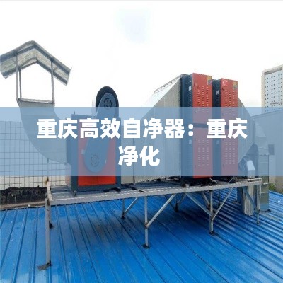 重庆高效自净器：重庆净化 
