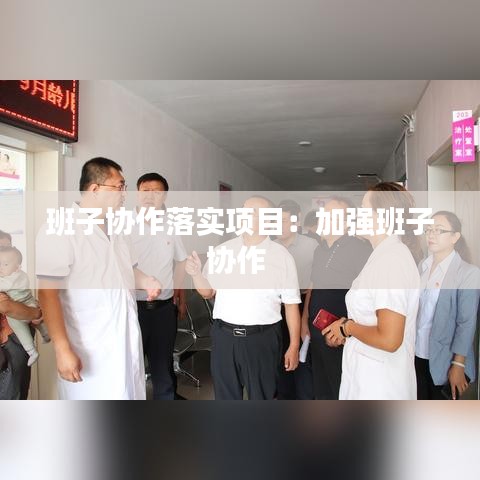 班子协作落实项目：加强班子协作 