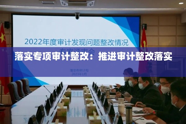 落实专项审计整改：推进审计整改落实 