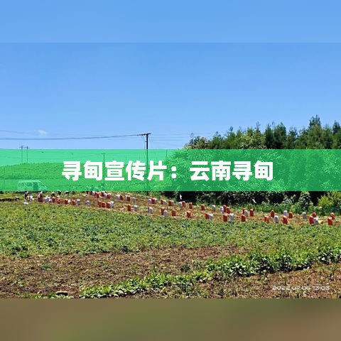 量入为出 第2页