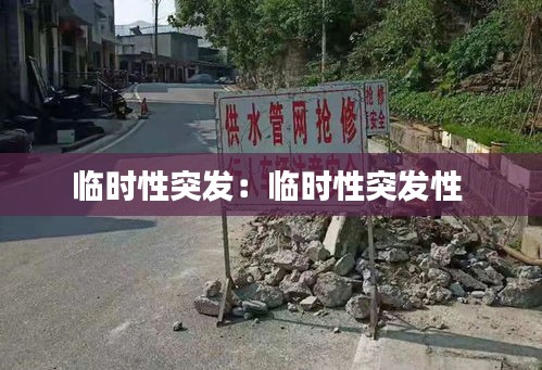 临时性突发：临时性突发性 