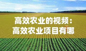 高效农业的视频：高效农业项目有哪些 