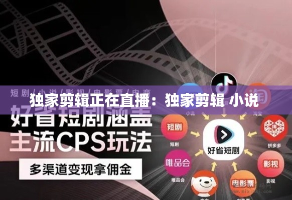 独家剪辑正在直播：独家剪辑 小说 