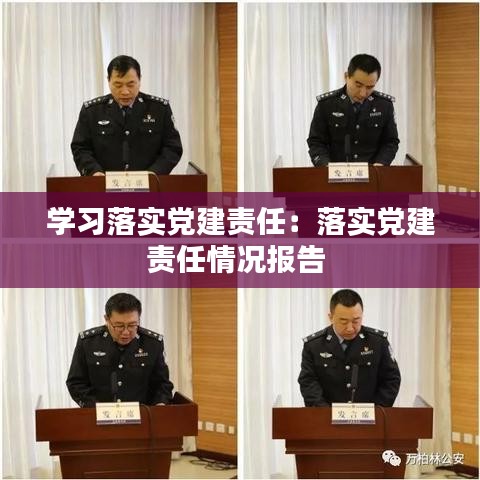 学习落实党建责任：落实党建责任情况报告 