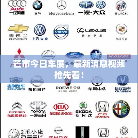 芒市今日车展，最新消息视频抢先看！