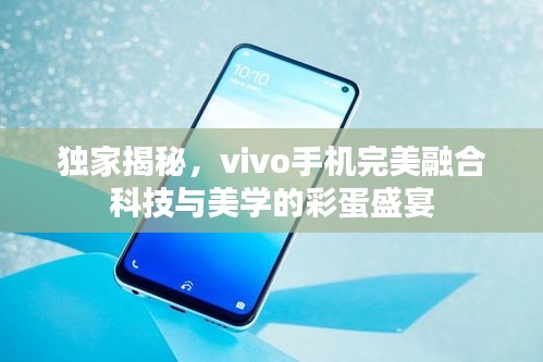 独家揭秘，vivo手机完美融合科技与美学的彩蛋盛宴