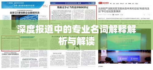 深度报道中的专业名词解释解析与解读