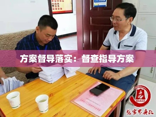 方案督导落实：督查指导方案 
