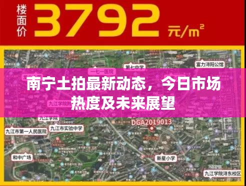 虚张声势 第2页