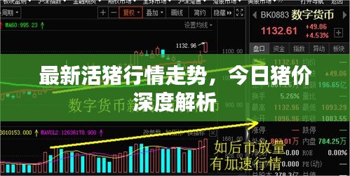 最新活猪行情走势，今日猪价深度解析