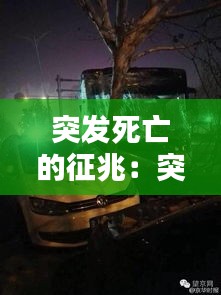 突发死亡的征兆：突发性死亡 