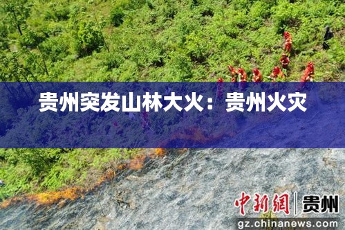 贵州突发山林大火：贵州火灾 