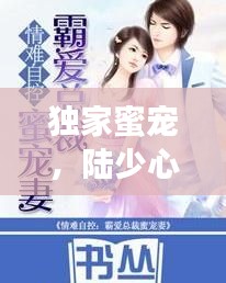 独家蜜宠，陆少心尖挚爱宠妻